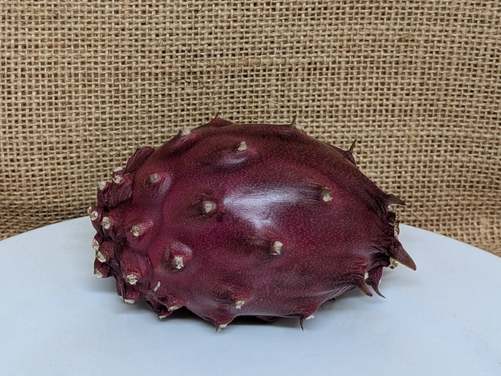 Baby Cerrado dragon fruit whole